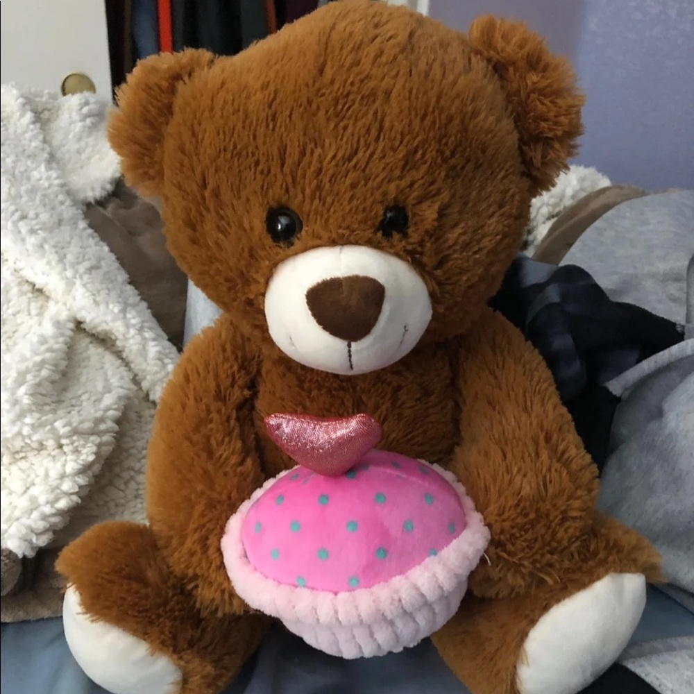 Cupcake teddy bear